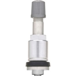 Silver Fixed-Angle Metal TPMS Valve - 1635721