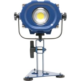  Vision Pro Constant Current Work Light - DY80000219