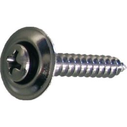 Phillips Oval Head Screw with Finishing Washer #8 - P64550