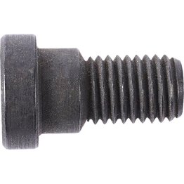  Replacement Disk Screw - DY80000158