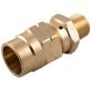  DOT Compression Connector Male Brass 3/8 x 1/2" - 1520683