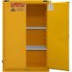 Safety Storage Cabinet - 1606349