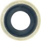  Steel Drain Plug Gasket/Rubber Seal 1" - KT11812