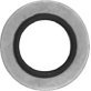  Carbon Steel Drain Plug Gasket/Nitrile Seal 14mm - 99258